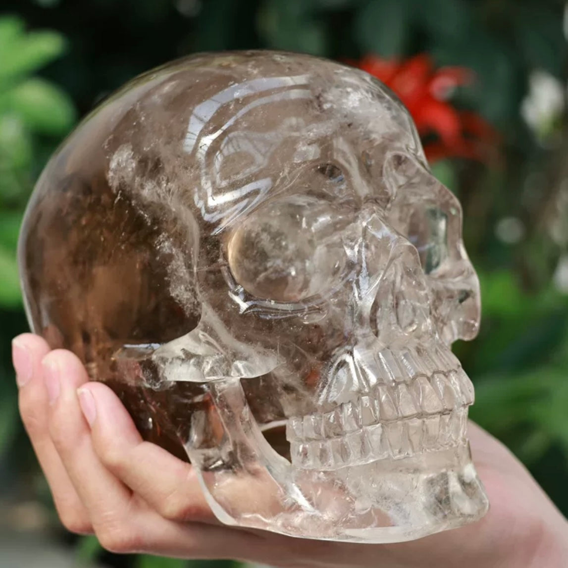 Natural Smoky Quartz Skull Carving displayed on neutral surface showing full scale and dark translucent colour
