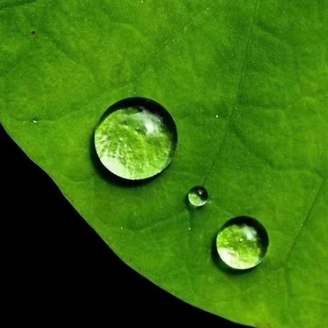 Natural White Crystal Dewdrop Incense Holder - Handmade Zen Meditation Accessory